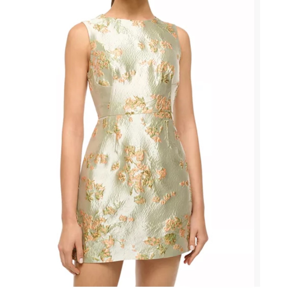 STAUD Pale Green and Peach Floral Jacquard Mini Dress